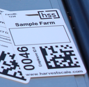 Printed Picker Badges - 100 Pack